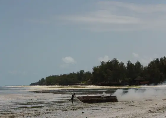 Zanzibar